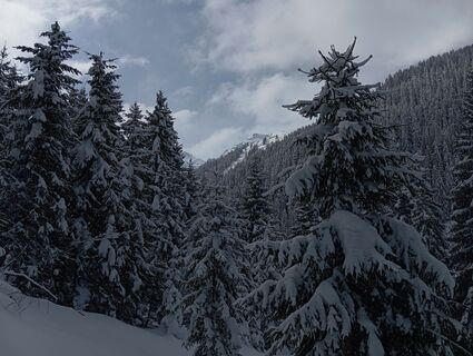 Foto von Kiki entlang der Tour