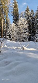 Fotografia z Mario Augustini na trase