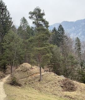 Foto von Moonlight13 entlang der Tour