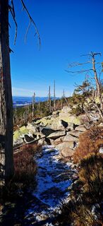 Fotografia z ReginaSt na trase