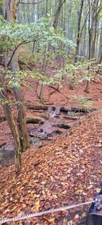 Photo de Elvira Strasszer le long du parcours