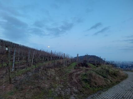 Foto von Gilbert HAERTY entlang der Tour