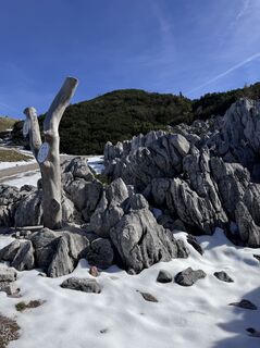 Photo de Funky le long du parcours