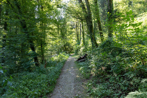 Foto von Adi H. entlang der Tour