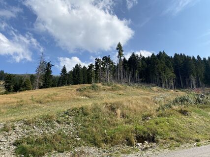 Zdjęcie z Paolo Moschen wzdłuż trasy