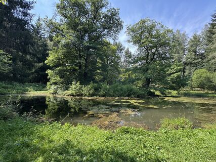 Foto von Yvonne B. entlang der Tour