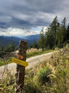 Foto de Wolfgang Schmied a lo largo del recorrido