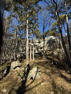 Fotografia z lydiak na trase