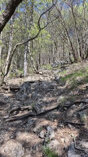 Foto von Fabrizio Plesnizer entlang der Tour