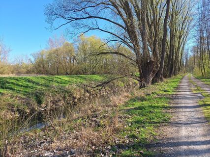 Foto von Hermann E. entlang der Tour