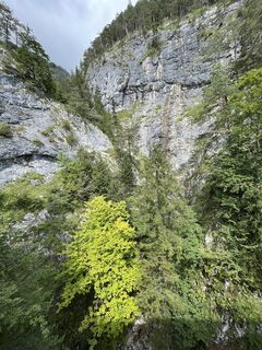 Fotografia z Andreas Stopperich na trase