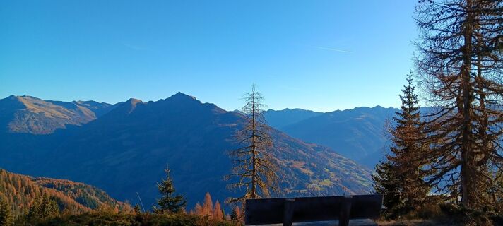 Fotografia z Martin Lobenwein na trase