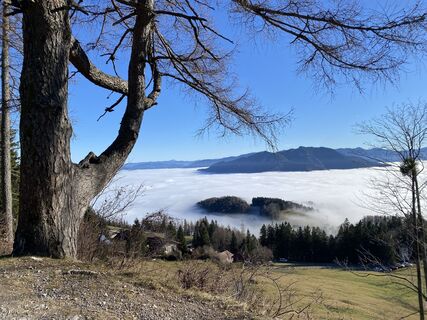 Foto von Johann Schörkhuber entlang der Tour