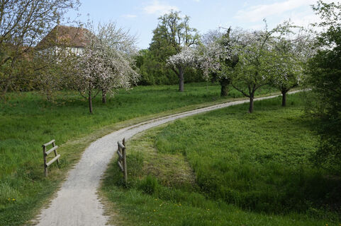 Prälatenweg an der Basilika Birnau