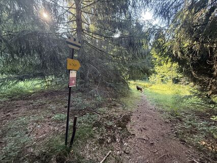 Foto von Wilson Holz entlang der Tour