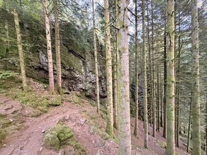 Foto von ChrisWarken entlang der Tour