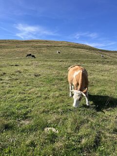 Foto von Valeria Grassi entlang der Tour