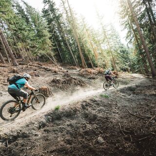 Mit dem Mountainbike bergab durch den Wald