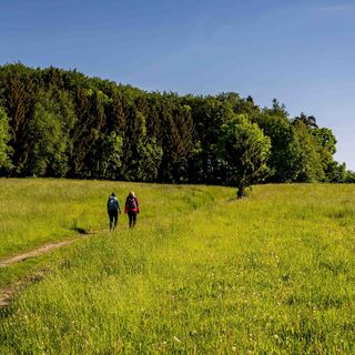 WNK_Welterbesteig_Jauerling_c_Robert Herbst20220519_0023