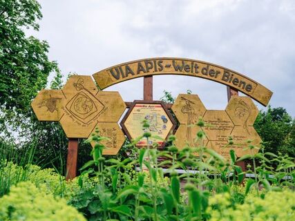 Via Apis - Welt der Biene