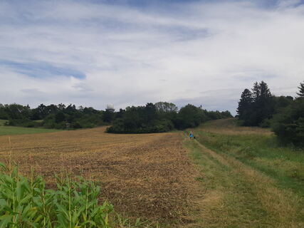 Zdjęcie z mmecki wzdłuż trasy