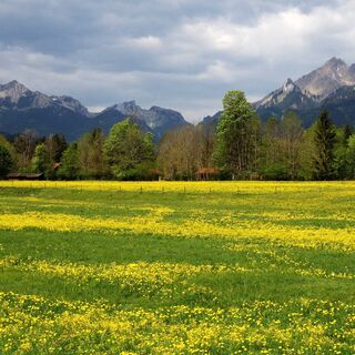 Radtour Schloss Linderhof Runde - Bick auf Scheinberg und Große Klammspitze
