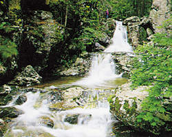 Natur