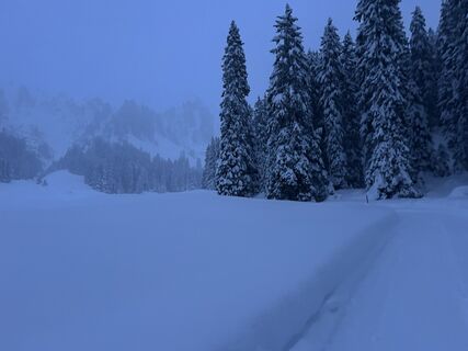 Foto von Josef Wohlgenannt entlang der Tour
