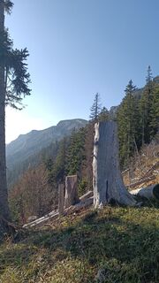 Fotografia z Bergpirat na trase