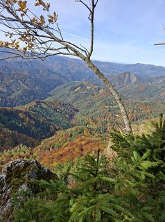 Foto från Oliver Vecera under resans gång