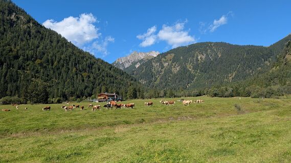 Foto von twuest entlang der Tour