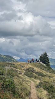 Foto von Hanna Deichler entlang der Tour