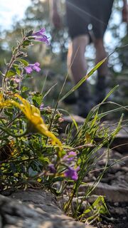 Zdjęcie z Klaus Lehner wzdłuż trasy