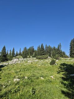 Photo de Franz Scholler 1 le long du parcours