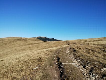 Fotografia z Tasurinki Mitote na trase