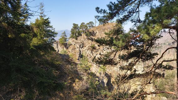 Photo de otmar strasser le long du parcours