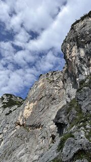 Zdjęcie z Mountain Cat ? ⛰️ wzdłuż trasy