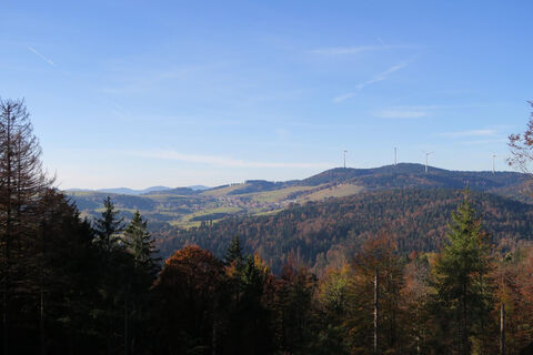 Ausblick Richtung Gersbach