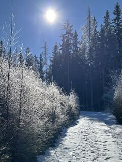 Foto von Gerhard Lilek entlang der Tour
