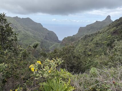 Photo de Thomas Pfitzner le long du parcours