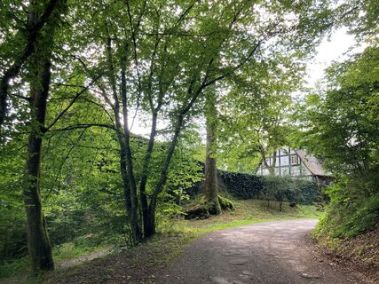 Burg Bilstein Außenmauer©Tourist-Information Lennestadt & Kirchhundem, Viola Japes.jpg