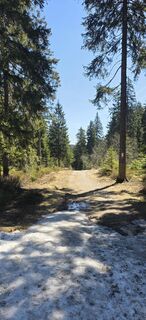 Foto von Michael Steiniger entlang der Tour