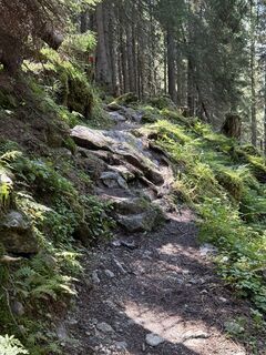 Fotografia z Markus Galla na trase