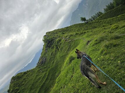 Fotografie z AlpenFuchs na trase
