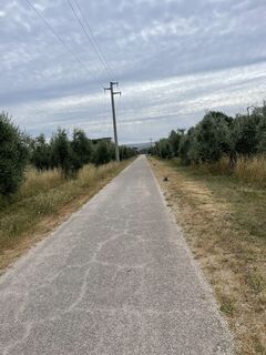 Foto von André Pohlmann entlang der Tour