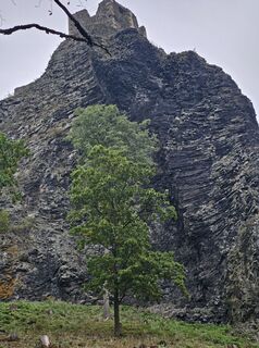 Fotografia z Hütterl na trase