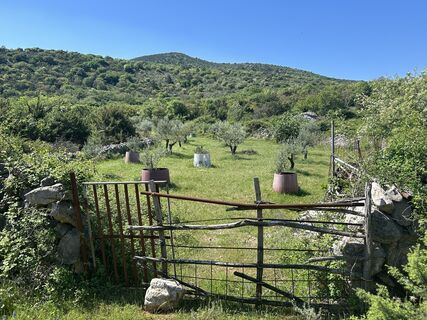 Foto von Hwidmoser entlang der Tour