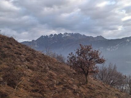 Foto de Marco Pezzuolo a lo largo del recorrido