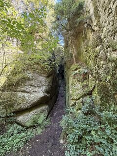 Foto von Florian Leopold Stonig entlang der Tour