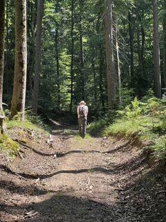 Foto från Harald Mang under resans gång